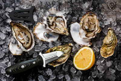 Best Oyster Knives