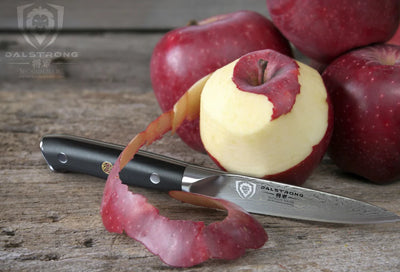 Tips for Picking the Best Meat Carving Knife – Dalstrong